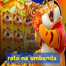 rato na umbanda